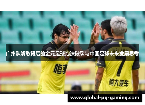 广州队解散背后的金元足球泡沫破裂与中国足球未来发展思考