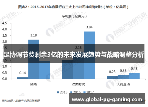 足协调节费剩余3亿的未来发展趋势与战略调整分析