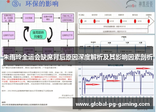 朱雨玲全运会缺席背后原因深度解析及其影响因素剖析