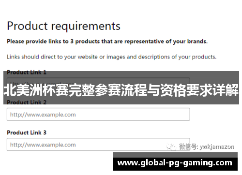 北美洲杯赛完整参赛流程与资格要求详解 北美洲杯赛完整参赛流程与资格要求详解
