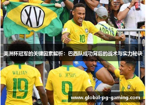 美洲杯冠军的关键因素解析：巴西队成功背后的战术与实力秘诀