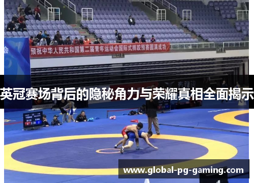 英冠赛场背后的隐秘角力与荣耀真相全面揭示