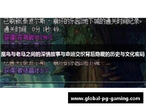 魔鸟与老马之间的深情故事与命运交织背后隐藏的历史与文化密码