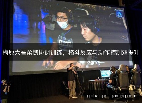 梅原大吾柔韧协调训练,格斗反应与动作控制双提升 梅原大吾柔韧协调训练,格斗反应与动作控制双提升
